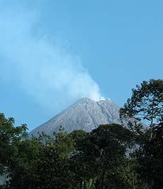 Photo showing the volcano, Mount Merapi, from a distance. There is smoke pouring out of the volcano. In the foreground are trees at the foot of the volcano.