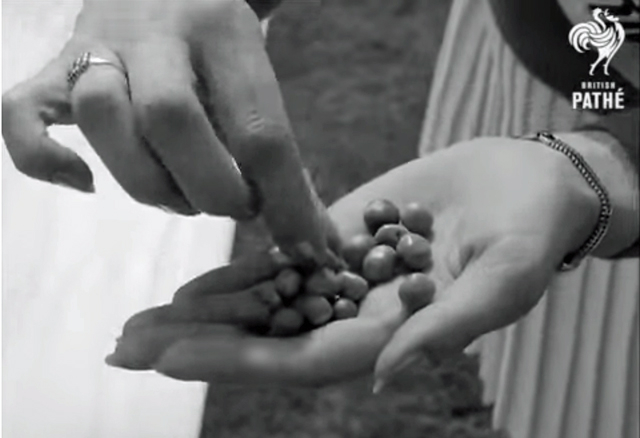 A black and white screenshot showing a woman holding some peas
