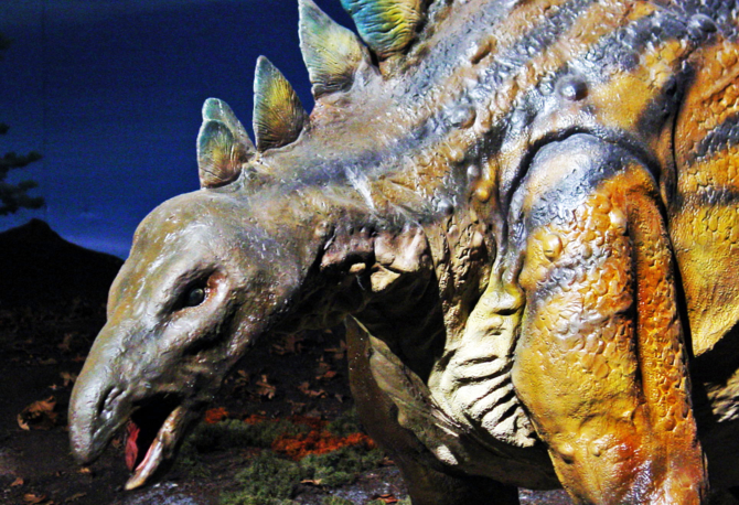 A model of a dinosaur
