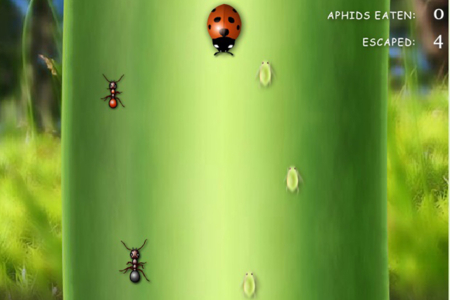 LadyBird Life