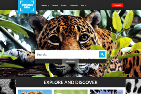 Wildscreen Arkive