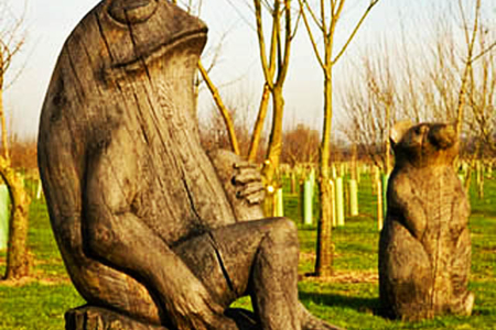 National Memorial Arboretum