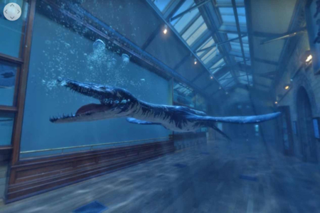 Encounter a Prehistoric Sea Dragon: Rhomaleosaurus