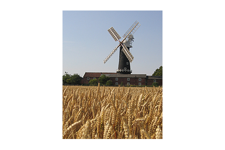 Skidby Windmill and Museum of East Riding Rural Life