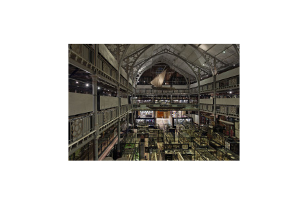 Pitt Rivers Museum