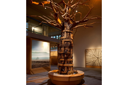 The Museum of Somerset