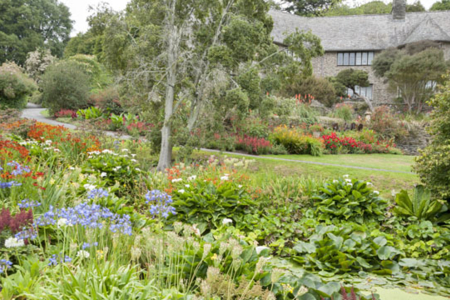 Coleton Fishacre - National Trust