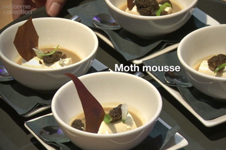 Should we eat insects?