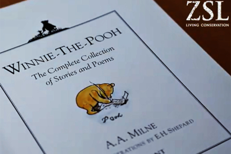 The bear who inspired Winnie-the-Pooh