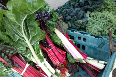 Farmers’ Market