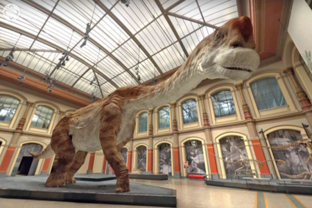 Face to Face with a Jurassic Giant: Giraffatitan