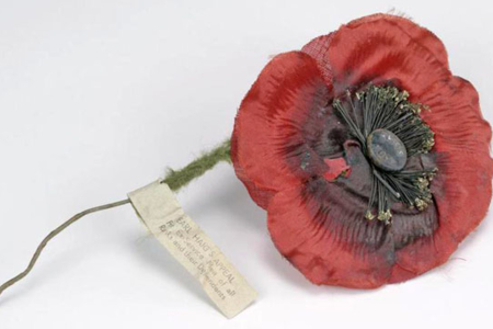 Why people wear poppies in November
