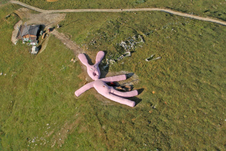 Giant pink rabbit found on Italian hillside