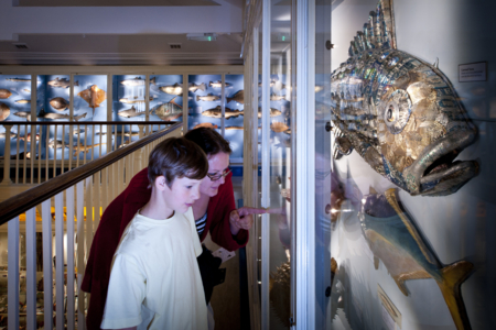 Warrington Museum & Art Gallery