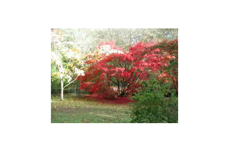 The University of Oxford Harcourt Arboretum
