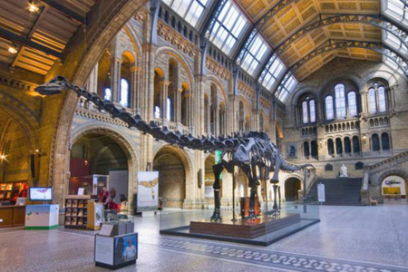 How big were dinosaur eggs?