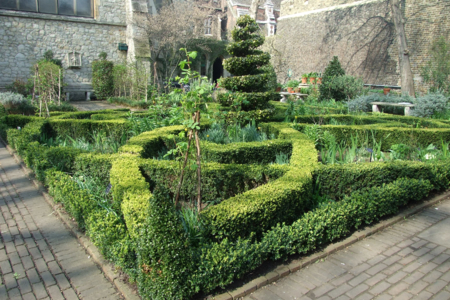 Knotty Gardening