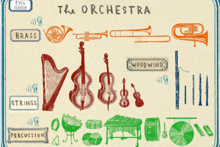 The Orchestra
