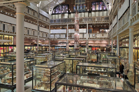 How does stuff end up in a museum?