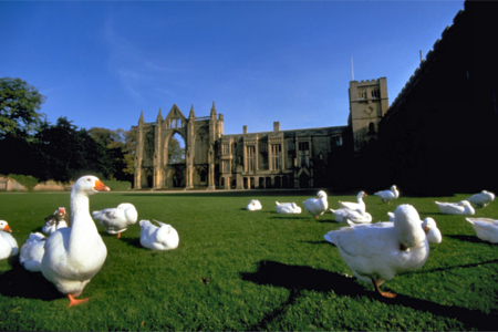 Newstead Abbey